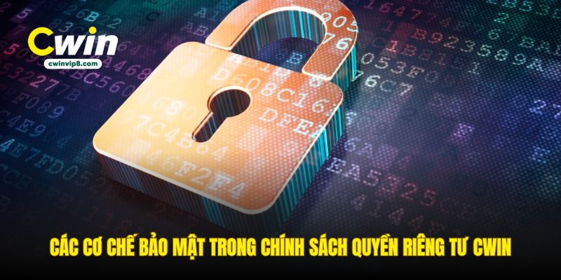 cac-co-che-bao-mat-trong-chinh-sach-quyen-rieng-tu-cwin