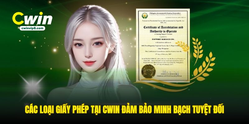 cac-loai-giay-phep-tai-cwin-dam-bao-minh-bach-tuyet-doi