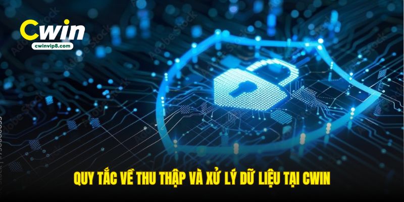quy-tac-ve-thu-thap-va-xu-ly-du-lieu-tai-cwin